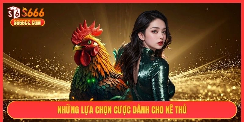 Những lựa chọn cược dành cho kê thủ